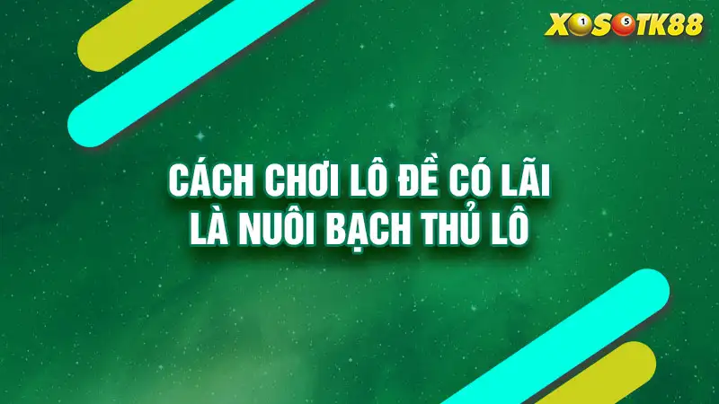 Cách chơi lô đề có lãi là nuôi bạch thủ lô