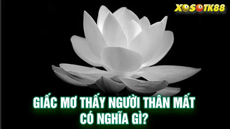 Giấc mơ thấy người thân mất có nghĩa gì