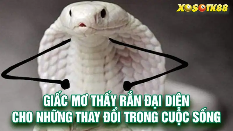 Giấc mơ thấy rắn đại diện cho những thay đổi trong cuộc sống