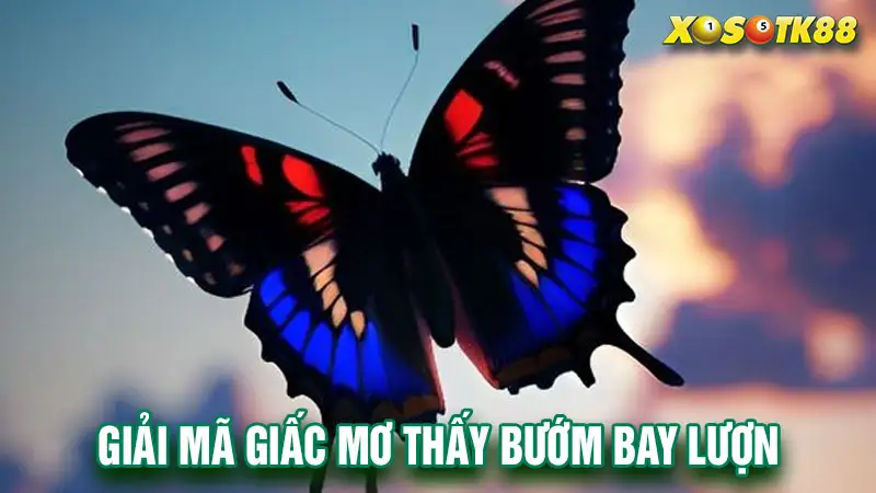 Giải mã giấc mơ thấy bướm bay lượn