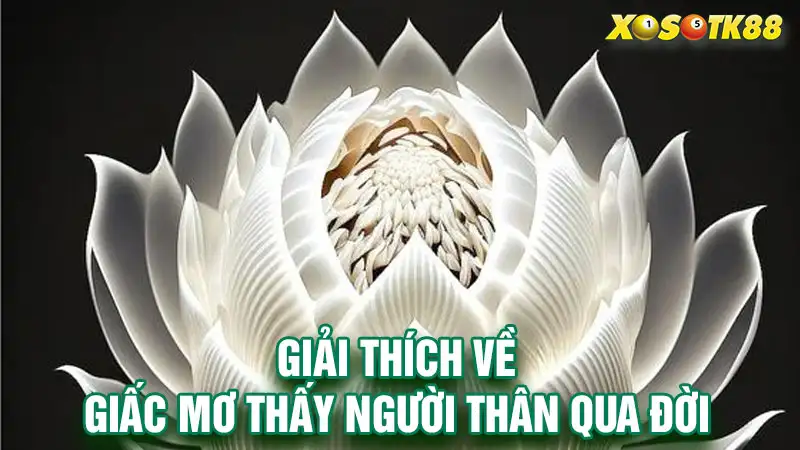 Giải thích về giấc mơ thấy người thân qua đời