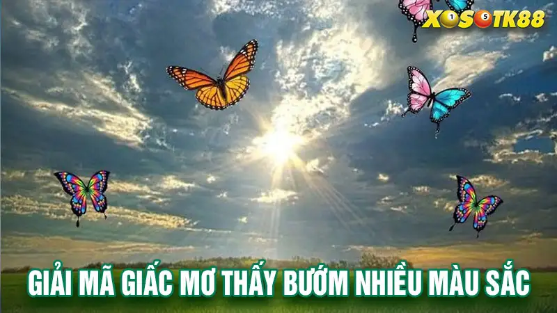 Mơ thấy bướm nhiều màu sắc