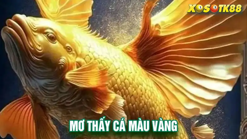 Mơ thấy cá màu vàng