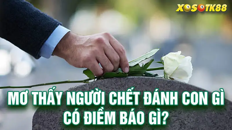 Mơ thấy người chết đánh con gì có điềm báo gì