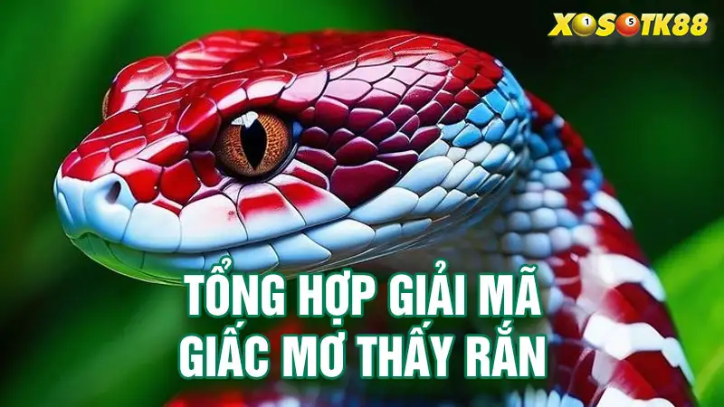 Tổng hợp giải mã giấc mơ thấy rắn