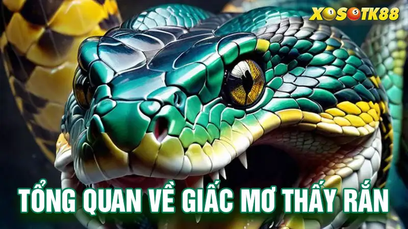 Tổng quan về giấc mơ thấy rắn