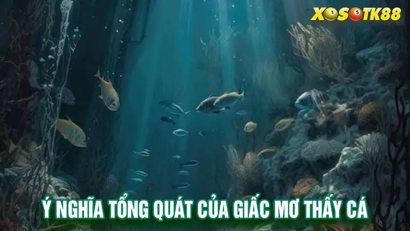 Ý nghĩa tổng quát của giấc mơ thấy cá