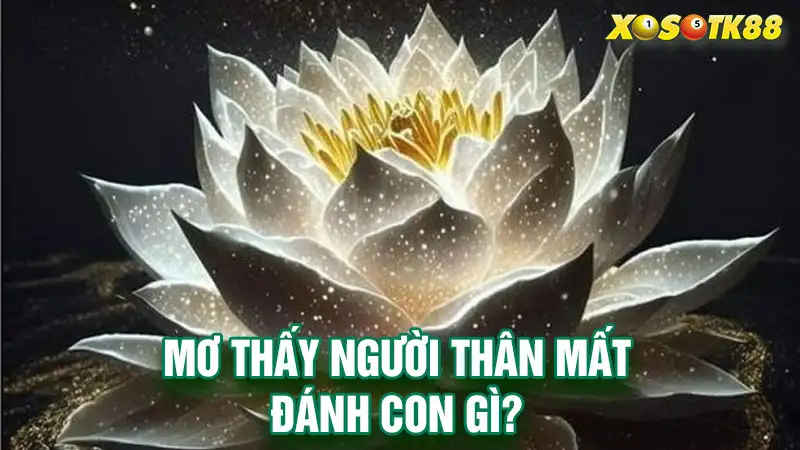 Mơ thấy người thân mất đánh con gì